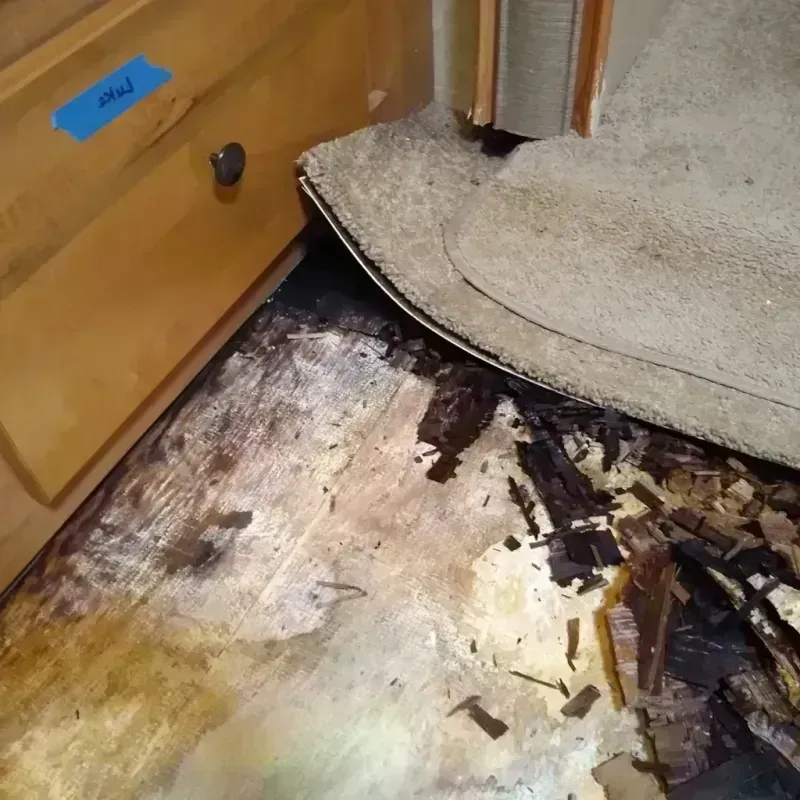 Wood Floor Water Damage in Amherst, OH